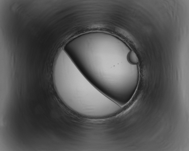 X0000098050825200803280728