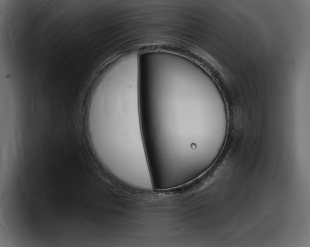 X0000098050826200803280728