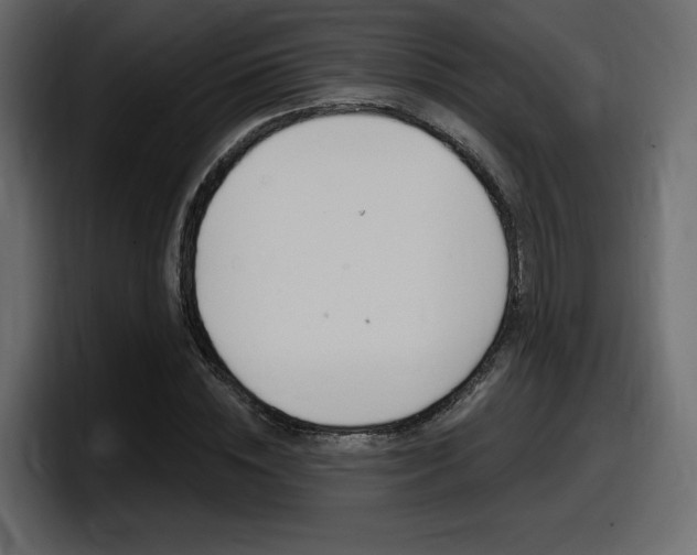 X0000098050828200803280728