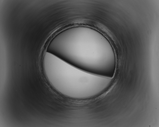 X0000098050829200803280728