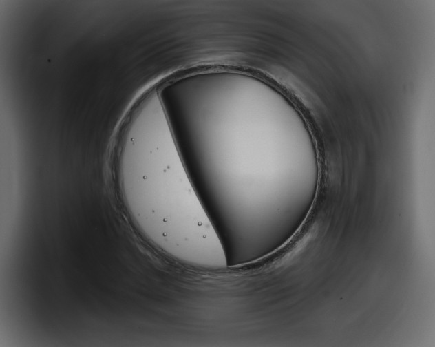 X0000098050830200803280728