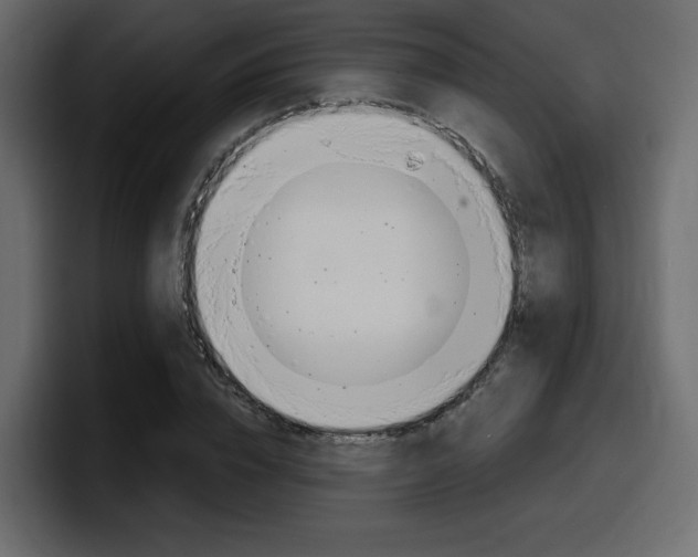 X0000098050832200803280728
