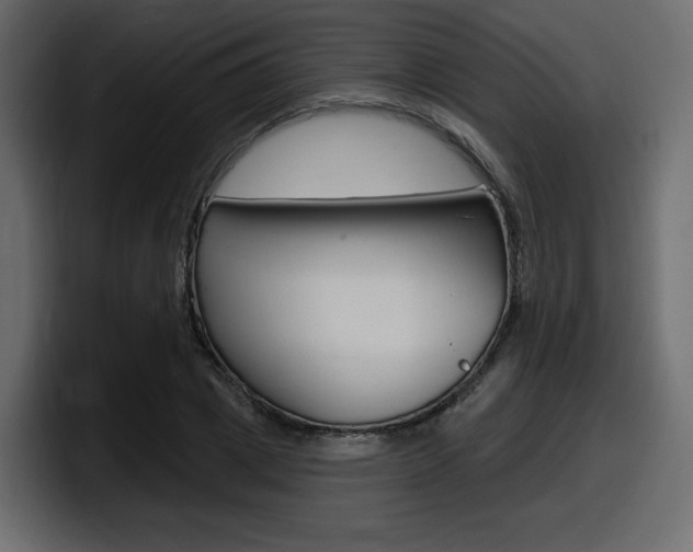 X0000098050833200803280728