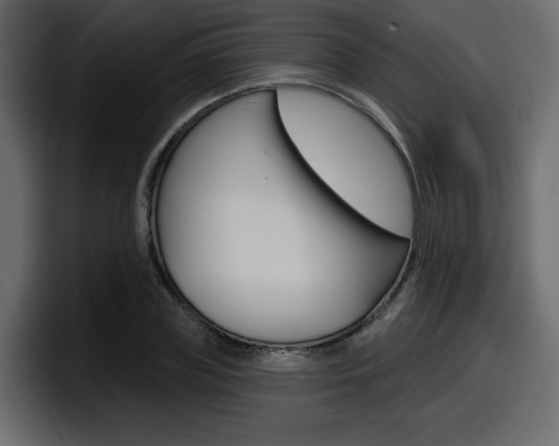 X0000098050835200803280728