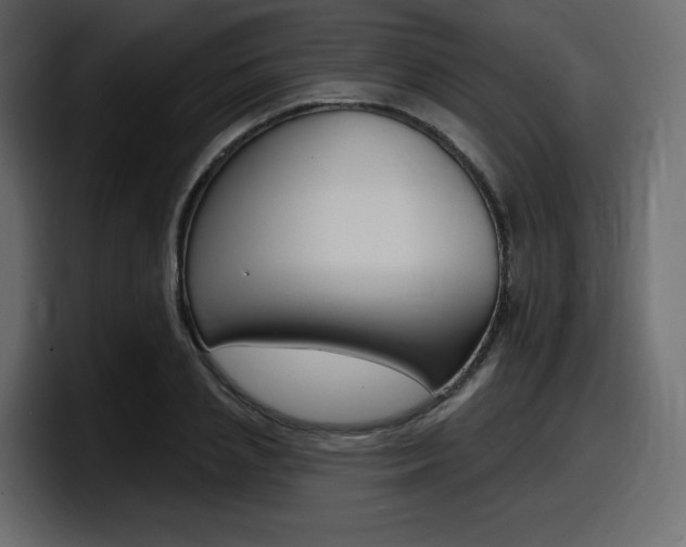 X0000098050837200803280728