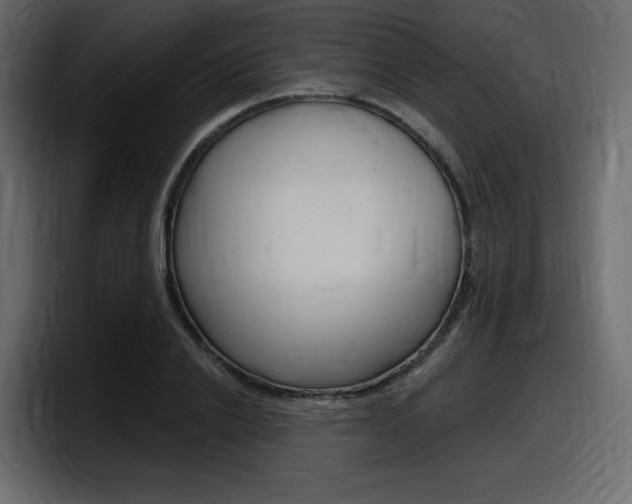 X0000098050838200803280728
