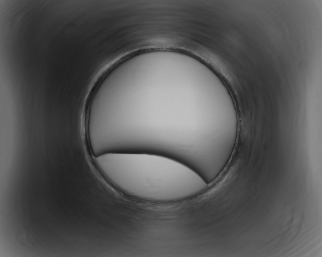 X0000098050839200803280728