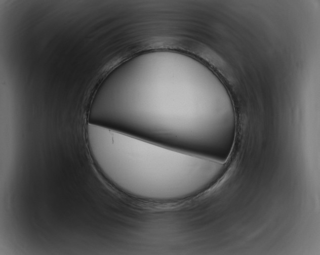 X0000098050841200803280728