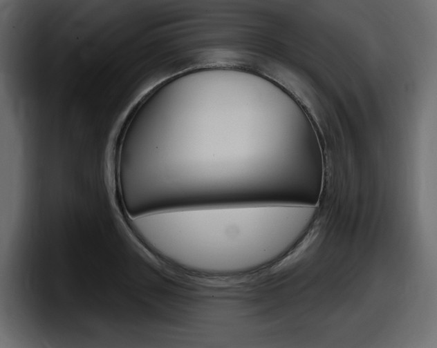 X0000098050843200803280728