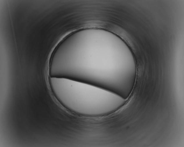 X0000098050844200803280728