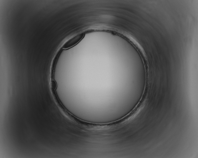 X0000098050845200803280728