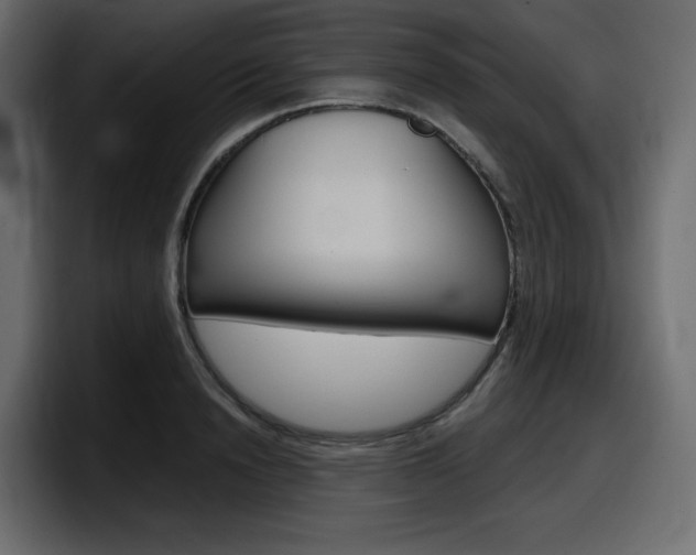 X0000098050846200803280728