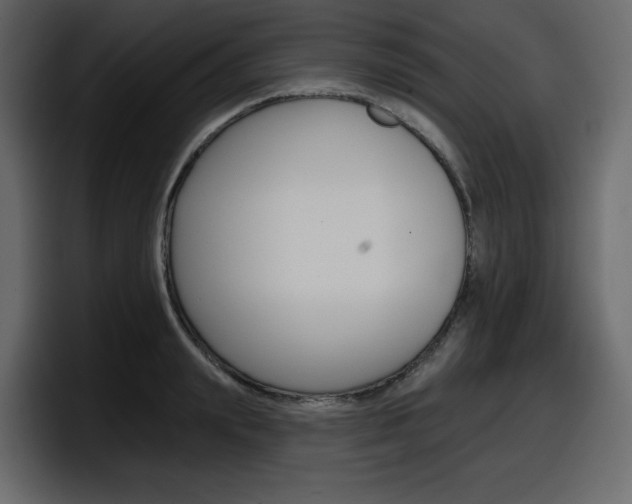 X0000098050847200803280728