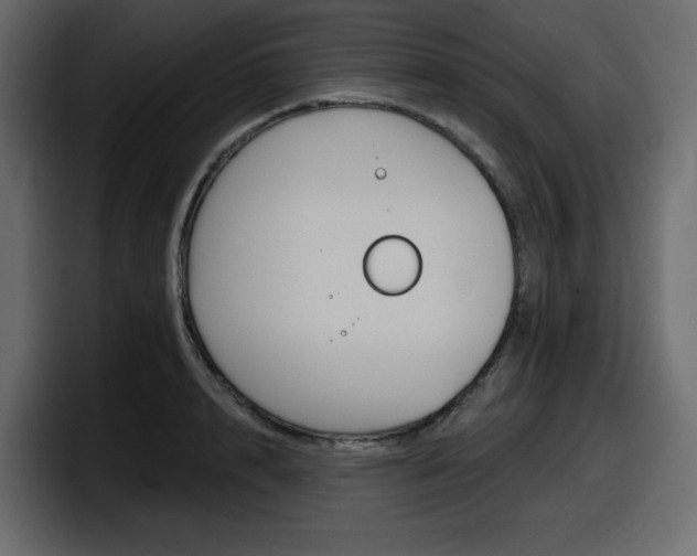 X0000098050848200803280728
