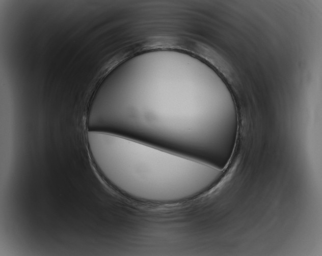 X0000098050849200803280728