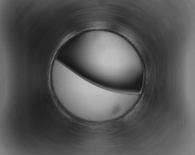 X0000098050850200803280729