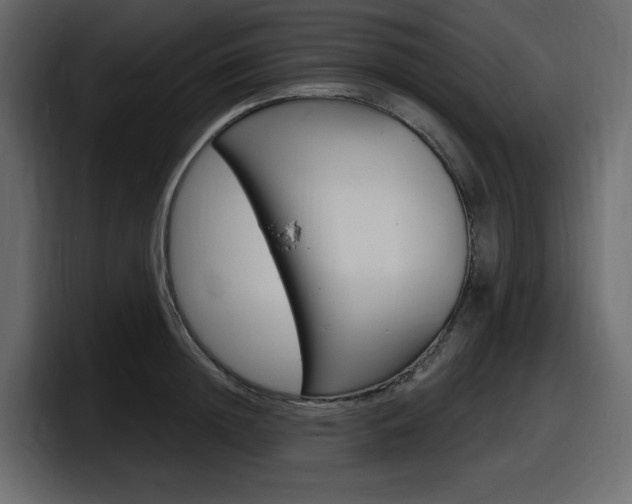 X0000098050852200803280729