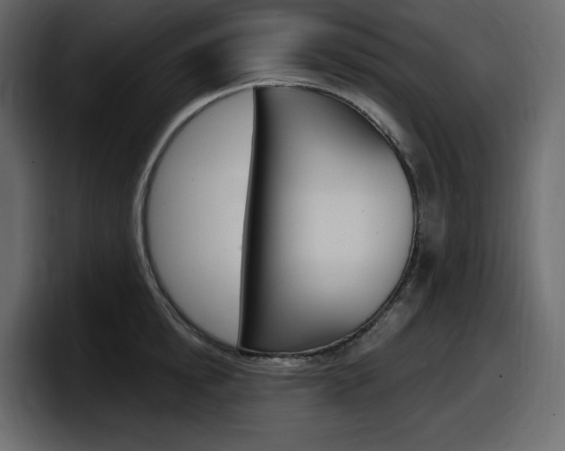 X0000098050854200803280729