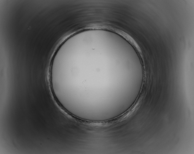 X0000098050855200803280729