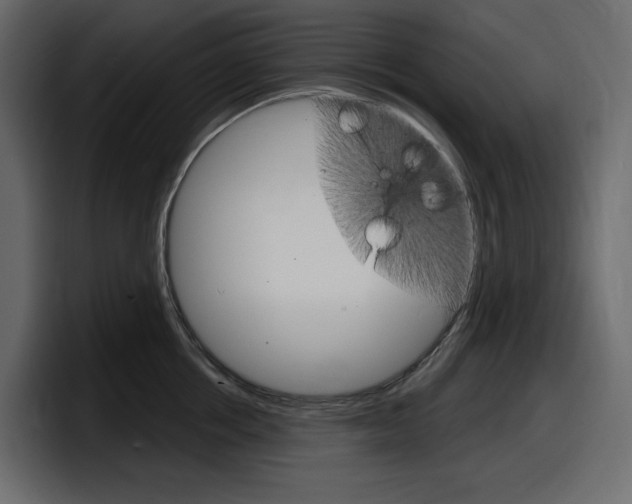 X0000098050858200803280729