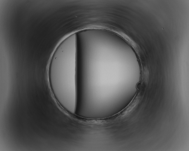 X0000098050862200803280729
