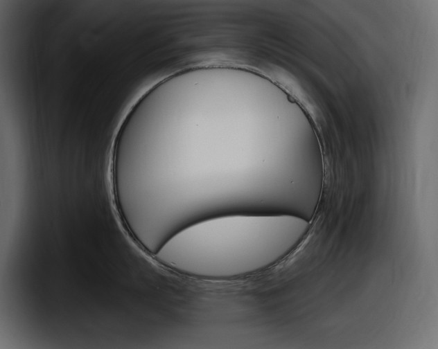 X0000098050863200803280729