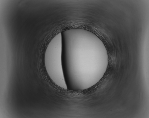 X0000098050865200803280728