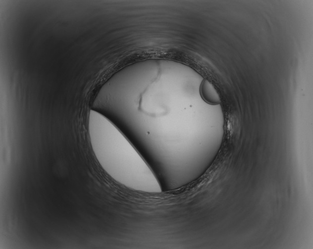 X0000098050867200803280728