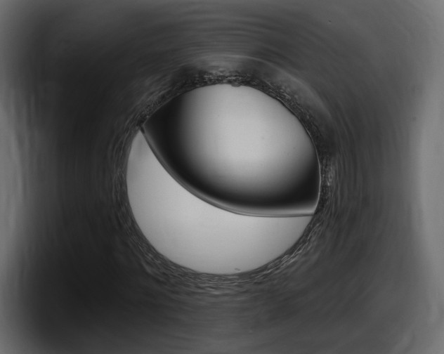 X0000098050868200803280728