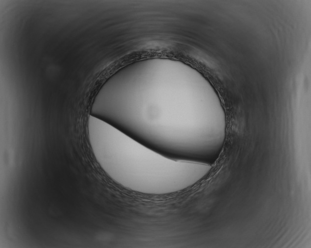 X0000098050869200803280728