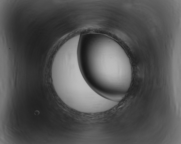 X0000098050872200803280728