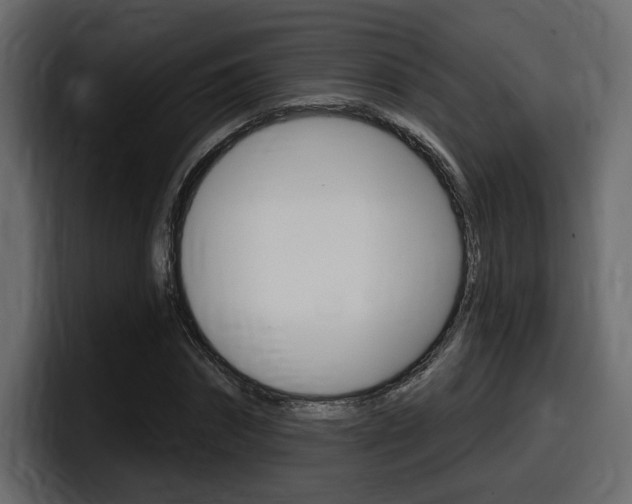X0000098050874200803280728