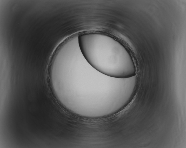 X0000098050875200803280728