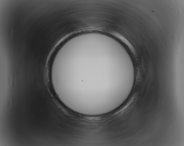 X0000098050878200803280728