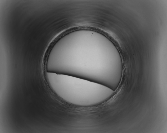 X0000098050879200803280728