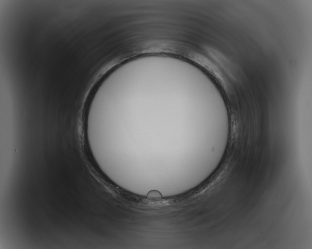 X0000098050882200803280728