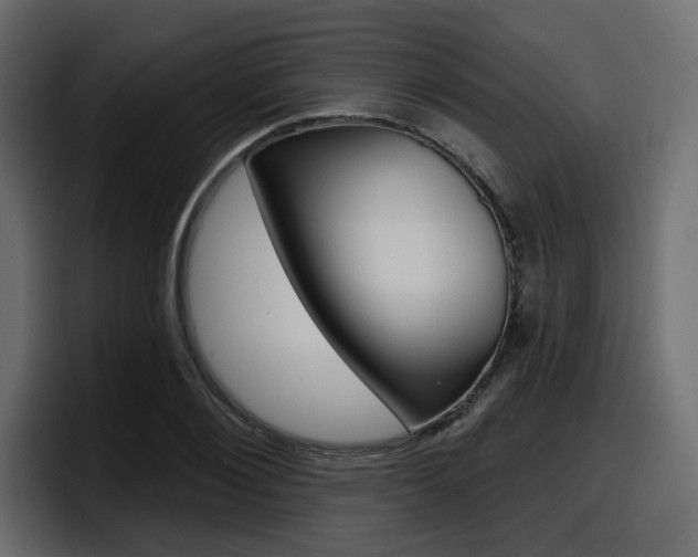 X0000098050884200803280728