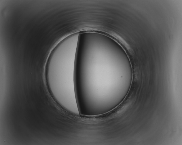 X0000098050885200803280728