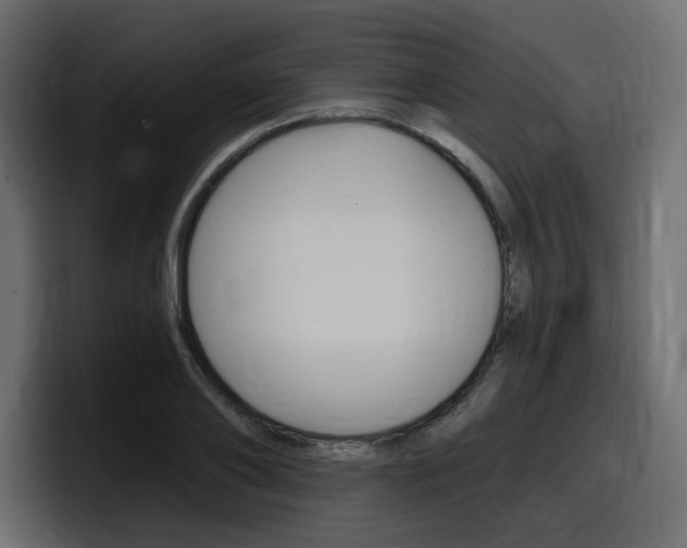 X0000098050886200803280728