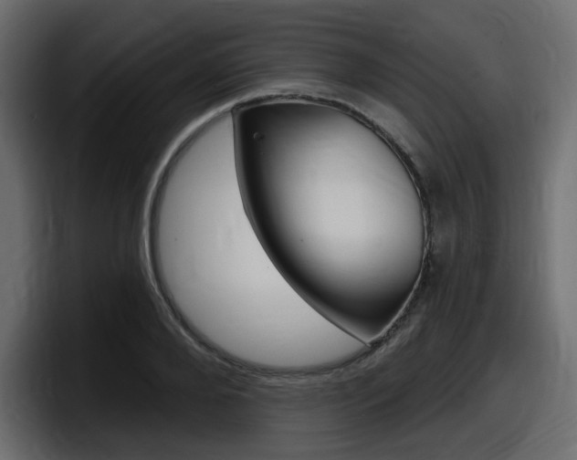 X0000098050888200803280728
