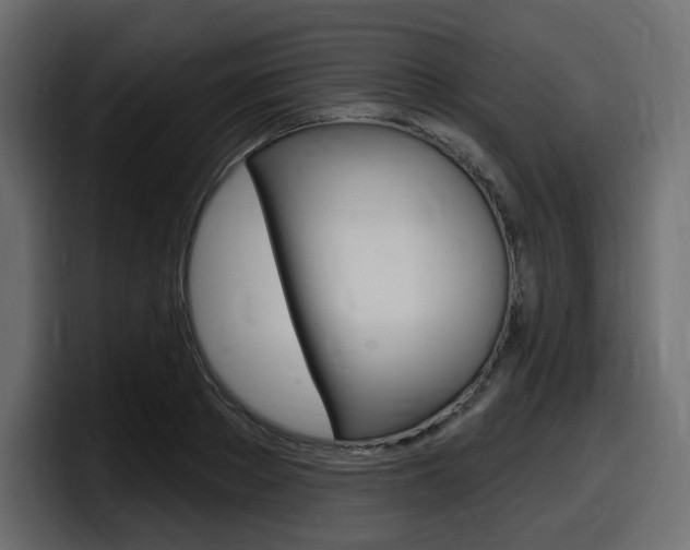X0000098050889200803280728