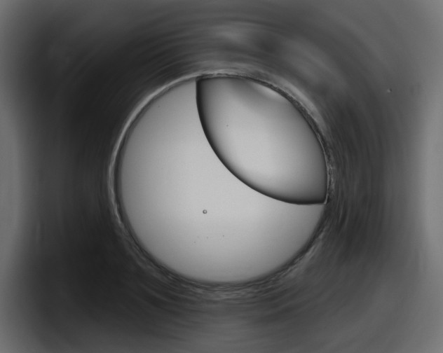 X0000098050891200803280728