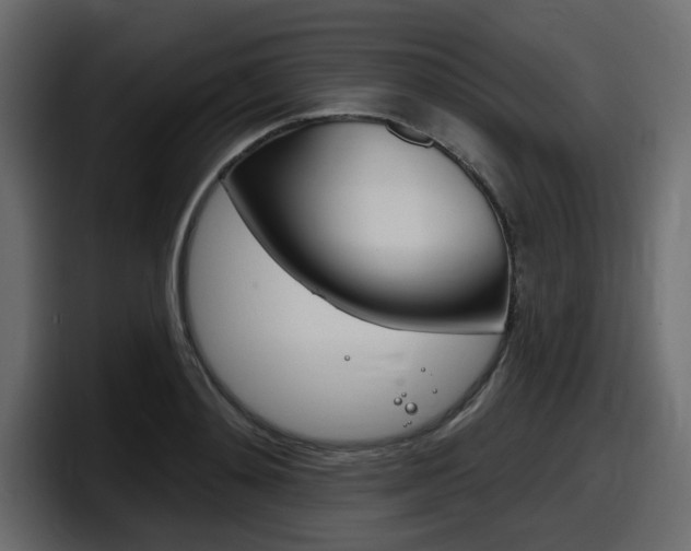 X0000098050892200803280728