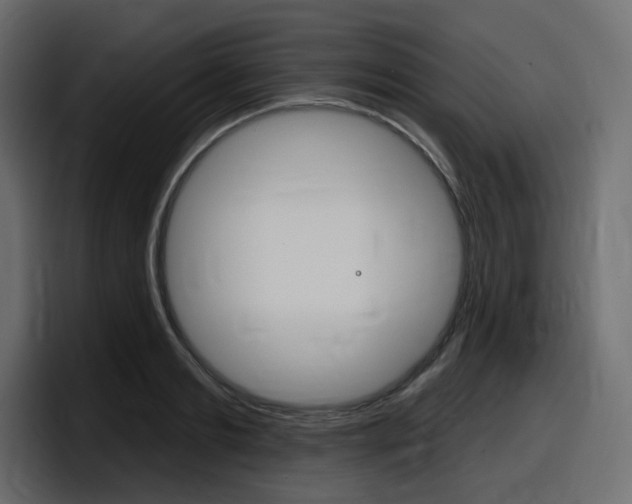 X0000098050893200803280728