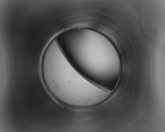 X0000098050894200803280728