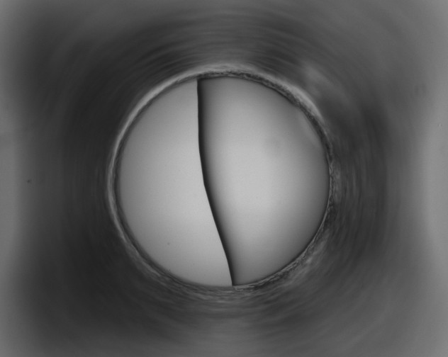 X0000098050895200803280728