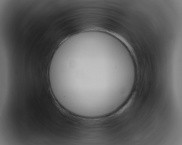 X0000098050897200803280728