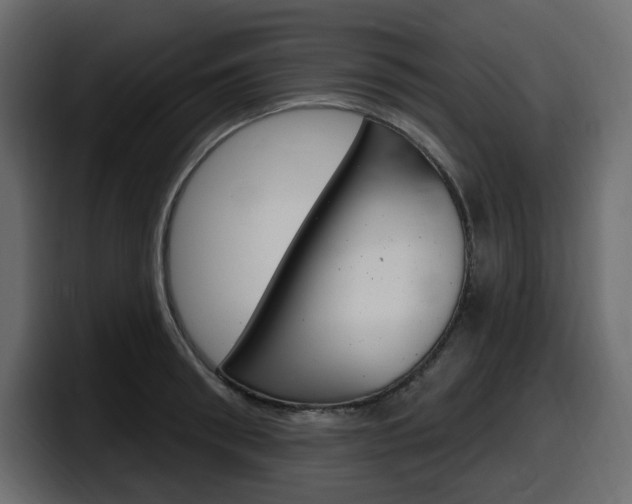 X0000098050898200803280728
