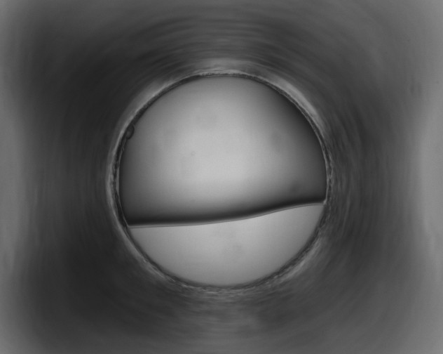 X0000098050901200803280728