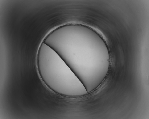 X0000098050903200803280728